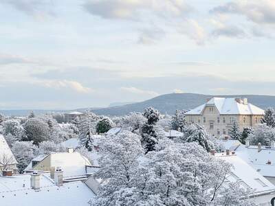 Wohnung kaufen in 2500 Baden (Bild 1)