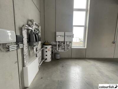 Gewerbeobjekt mieten in 2482 Münchendorf (Bild 4)