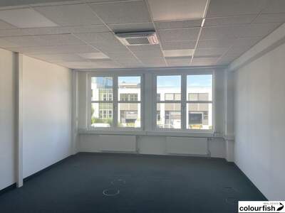 Gewerbeobjekt mieten in 2320 Schwechat (Bild 5)