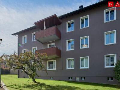 Wohnung mieten in 4910 Ried (Bild 4)