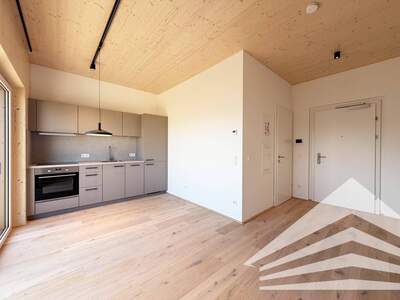 Wohnung mieten in 4020 Linz
