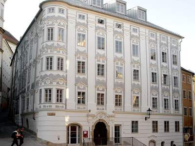 Gewerbeobjekt mieten in 4020 Linz (Bild 1)