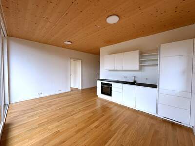 Terrassenwohnung mieten in 1120 Wien (Bild 2)