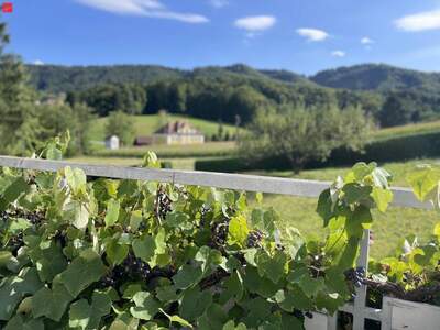 Haus kaufen in 8430 Leibnitz