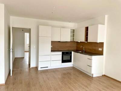 Terrassenwohnung mieten in 1230 Wien (Bild 5)