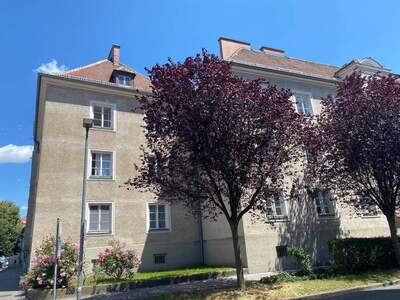 Wohnung mieten in 3500 Krems