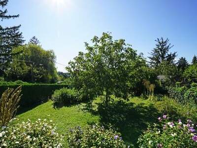 Grundstück kaufen in 1130 Wien