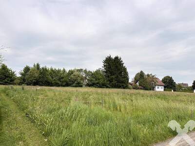 Grundstück kaufen in 8490 Bad Radkersburg (Bild 3)