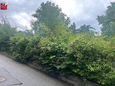 Grundstück kaufen in 3400 Weidling