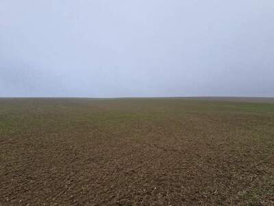 Gewerbeobjekt kaufen in 2002 Großmugl