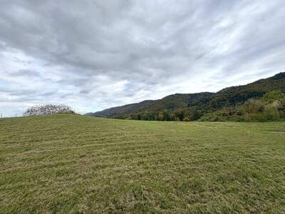 Grundstück kaufen in 8454 Oberhaag