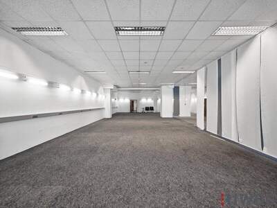 Einzelhandel mieten in 2351 Wr. Neudorf (Bild 1)