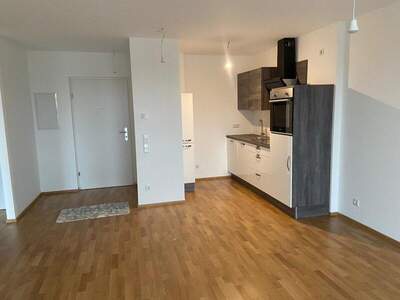 Terrassenwohnung mieten in 1230 Wien (Bild 2)