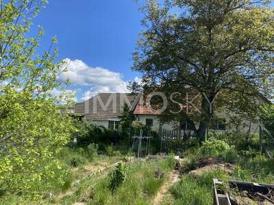 Einfamilienhaus kaufen in 7540 Kleinmürbisch (Bild 5)