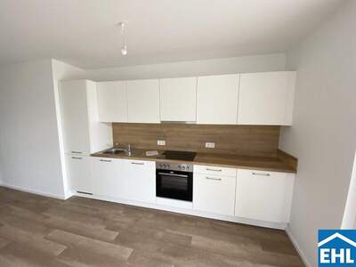 Terrassenwohnung mieten in 3451 Michelhausen (Bild 2)