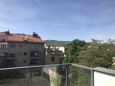 Terrassenwohnung mieten in 1190 Wien (Bild 2)