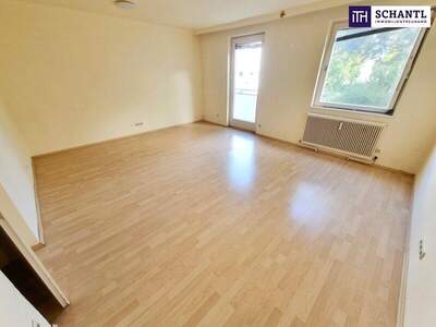 Terrassenwohnung kaufen in 1230 Wien (Bild 5)