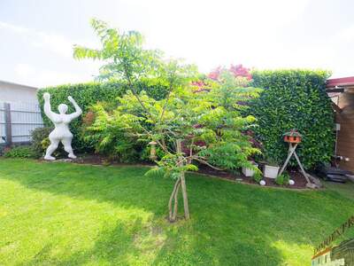 Haus mit Garten kaufen in 2326 Lanzendorf (Bild 3)