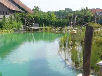 Haus kaufen in 2013 Großstelzendorf