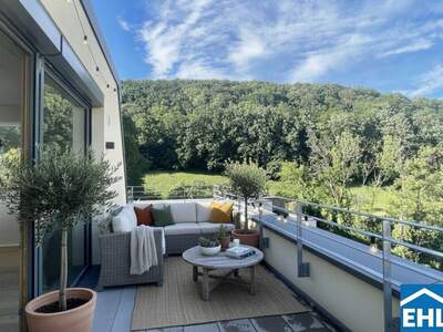 Terrassenwohnung mieten in 2391 Kaltenleutgeben (Bild 1)