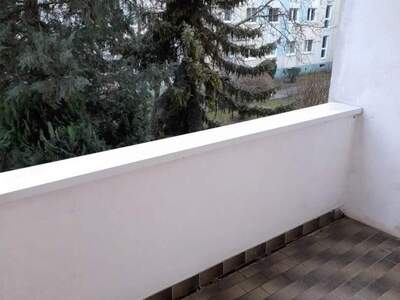 Terrassenwohnung mieten in 3100 St. Pölten (Bild 3)