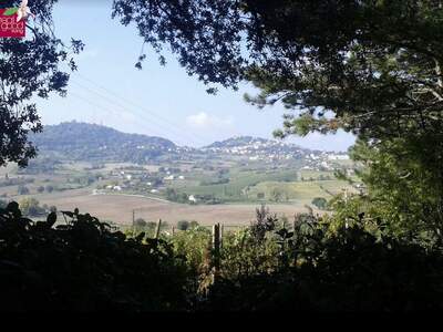 Gewerbeobjekt kaufen in 47032 Bertinoro (Bild 1)