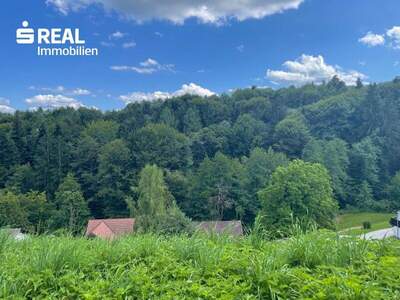 Grundstück kaufen in 8541 Bad Schwanberg (Bild 3)