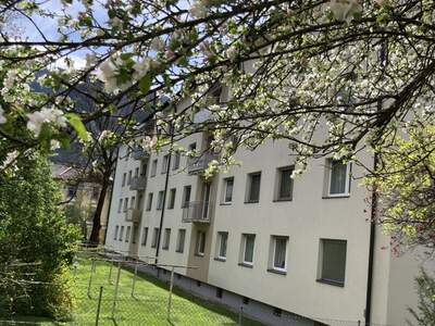 Mietwohnung in 9800 Spittal (Bild 4)