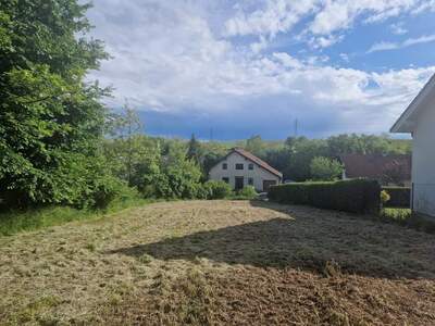 Grundstück kaufen in 2011 Sierndorf