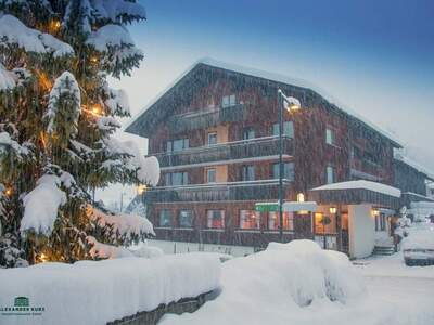 Gewerbeobjekt kaufen in 6881 Mellau