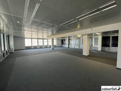 Gewerbeobjekt mieten in 1220 Wien (Bild 2)