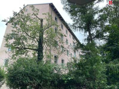 Wohnung kaufen in 5020 Salzburg