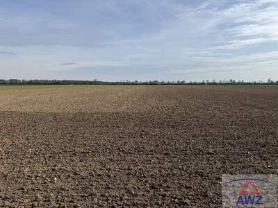 Grundstück kaufen in 2232 Deutsch