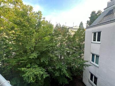 Wohnung kaufen in 1180 Wien (Bild 5)