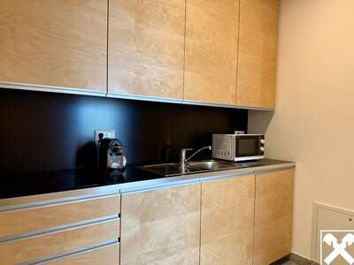 Gewerbeobjekt mieten in 4201 Eidenberg (Bild 5)