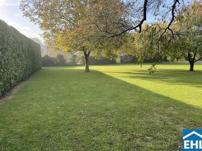 Grundstück kaufen in 1230 Wien