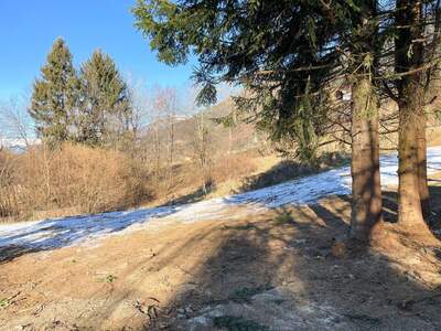 Grundstück kaufen in 9872 Matzelsdorf