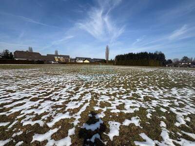 Grundstück kaufen in 8430 Leibnitz