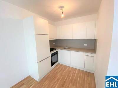 Wohnung mieten in 1100 Wien