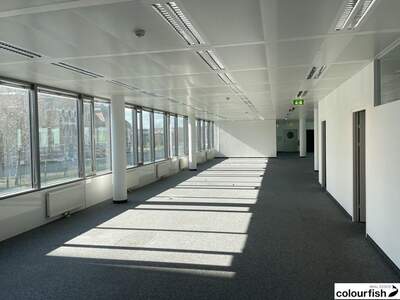 Gewerbeobjekt mieten in 1110 Wien (Bild 1)