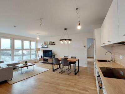 Terrassenwohnung mieten in 1210 Wien (Bild 2)