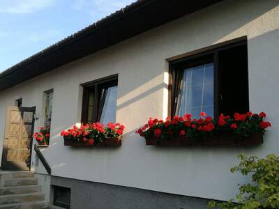 Haus mit Garten kaufen in 2620 Neunkirchen (Bild 4)