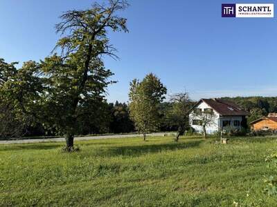 Grundstück kaufen in 8074 Grambach (Bild 2)