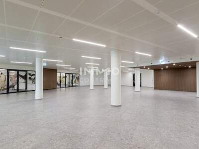 Gewerbeobjekt mieten in 1210 Wien (Bild 5)