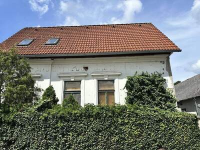 Haus kaufen in 2512 Traiskirchen
