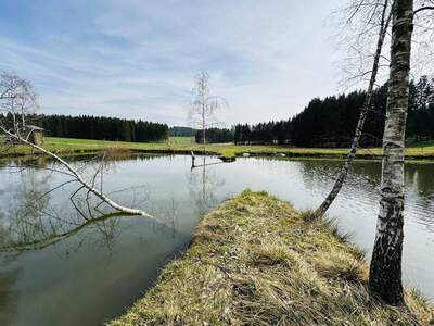 Grundstück kaufen in 4240 Freistadt