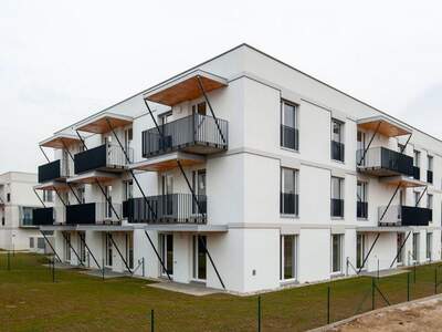 Public Housing provisionsfrei mieten in 3372 Niederösterreich