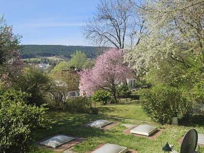 Grundstück kaufen in 2753 Markt Piesting