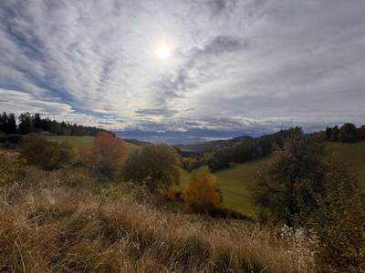 Beherbergungsbetrieb kaufen in 9112 Griffen (Bild 5)