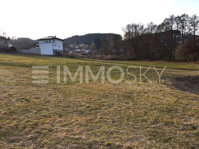 Grundstück kaufen in 4204 Reichenau (Bild 3)